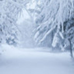 Meet your Posher, Natalia